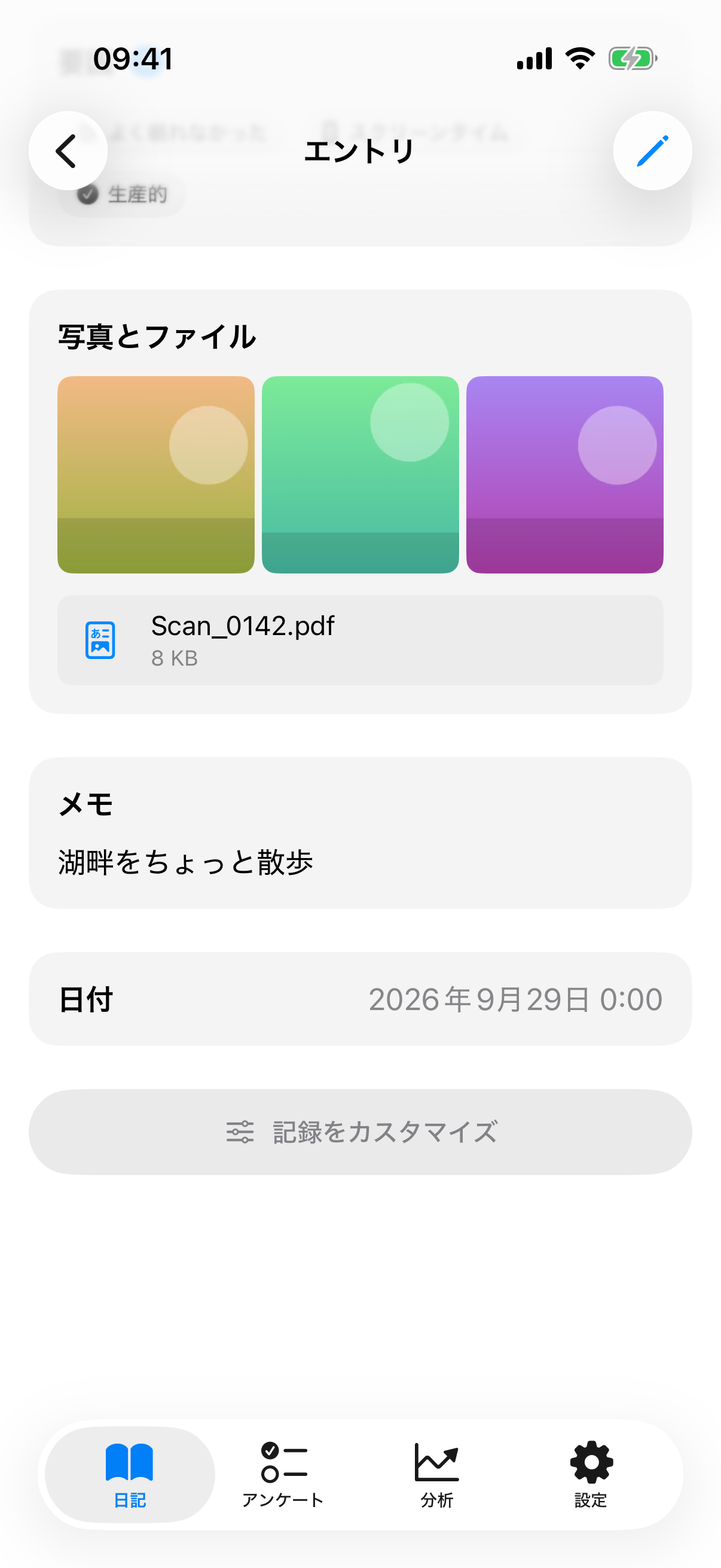 複数の写真をグリッドで並べ、その下にPDFを添付したエントリー