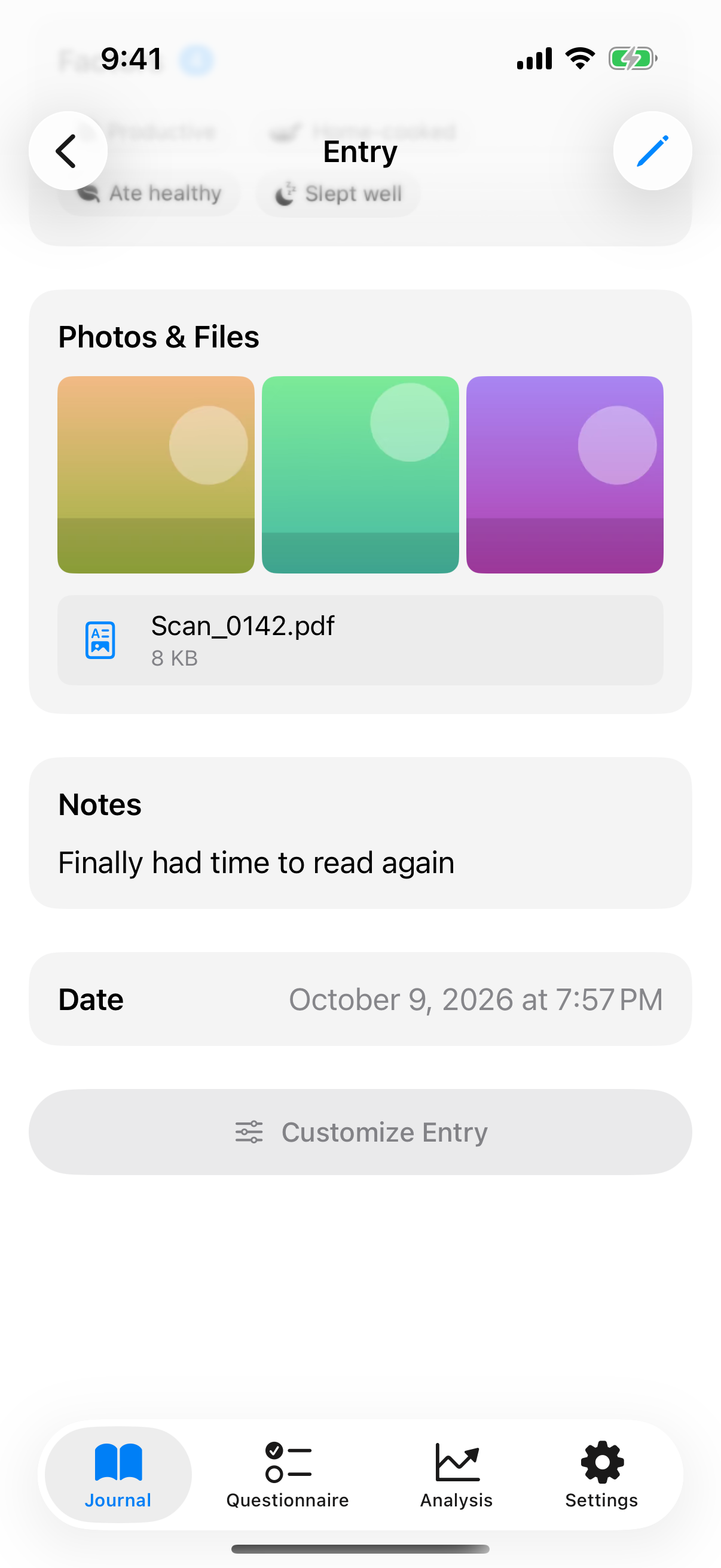 Entry with several photos in a grid and an attached PDF below them